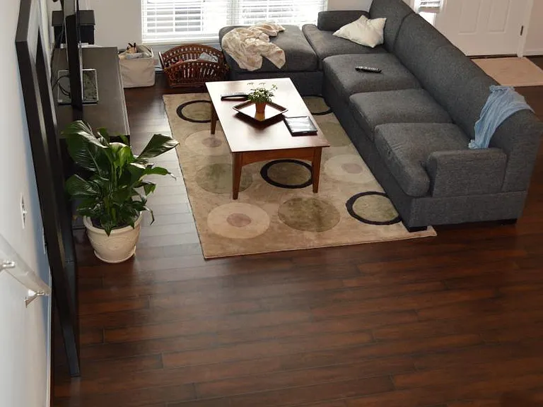 Living Room furnished