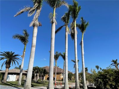 710 Coral Dr, Cape Coral, FL, 33904