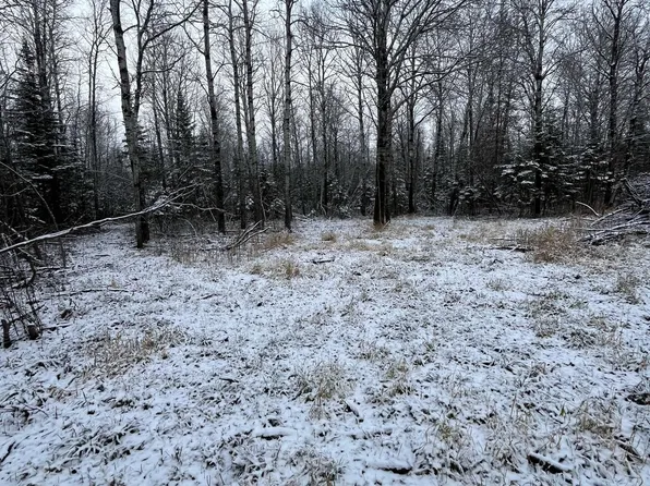 Pinewood Ln NW, Angle Inlet, MN 56711