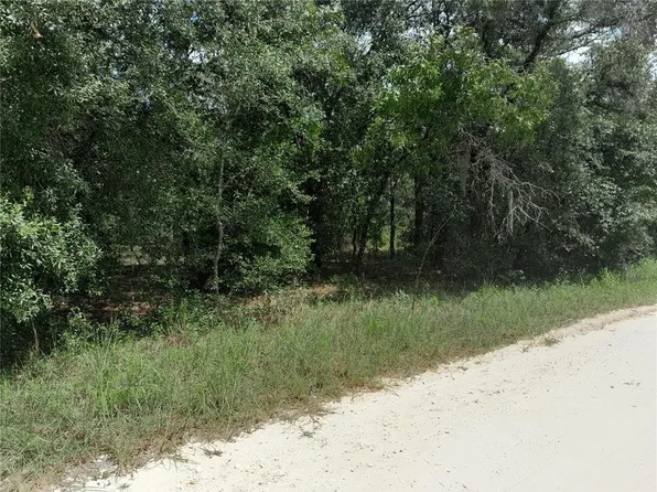 91 SE 142nd Ter Lot 9, Williston, FL 32696