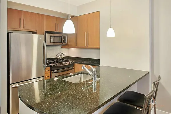 Rented by ONE Manhattan Real Estate | media 17