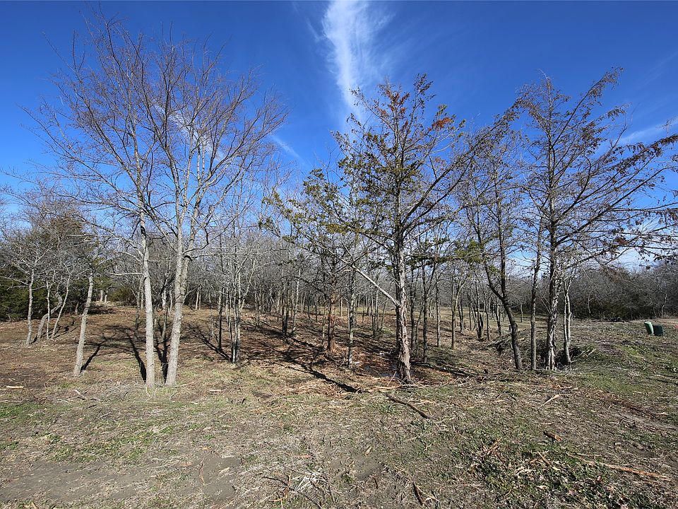 1st image of 4068 Weeping Oak