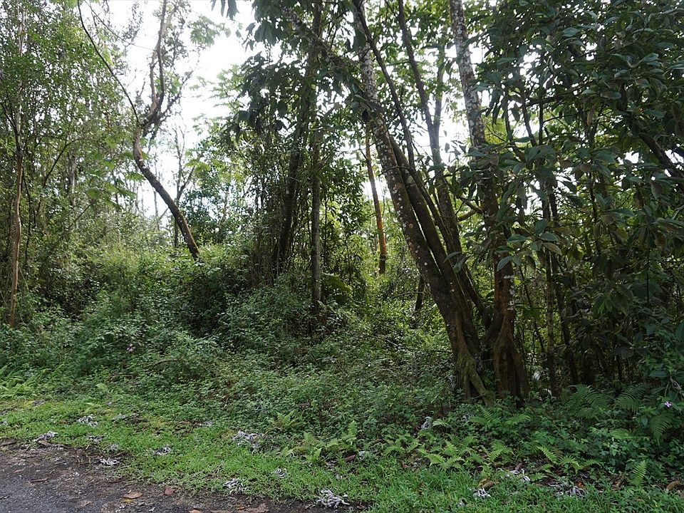 2nd image of Niihau Rd