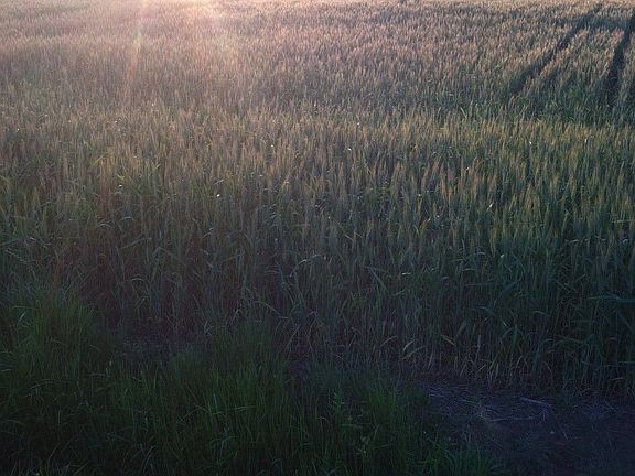 Home for Sale in Virginia Beach, Virginia $550,000