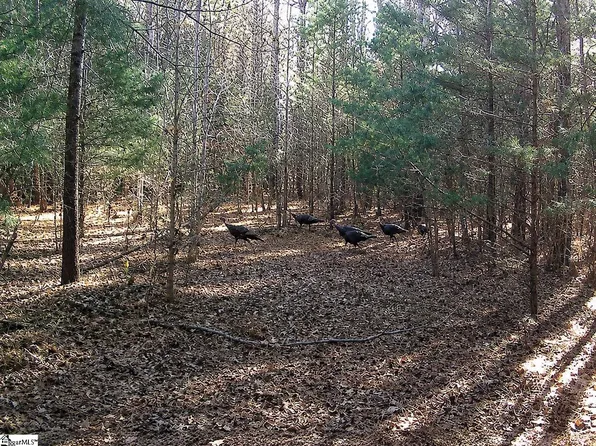 0 Simpson Mill Rd, Laurens, SC 29360