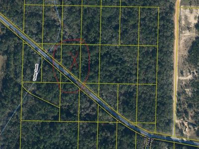 Xx Williams Rd, Defuniak Springs, FL, 32433
