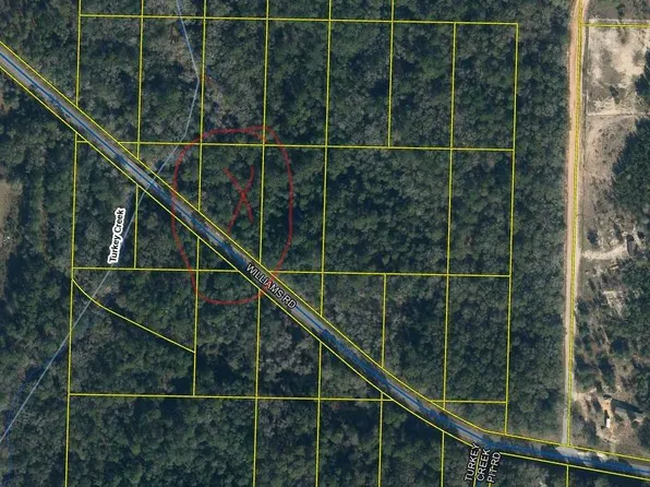 Xx Williams Rd, Defuniak Springs, FL 32433