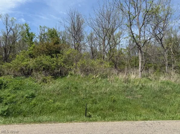 Kerns Dr NE, Bolivar, OH 44612