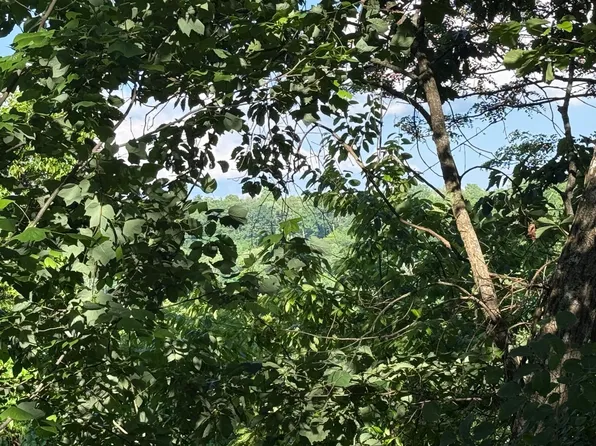 214 Middle Ridge Rd, Beershba Spgs, TN 37305