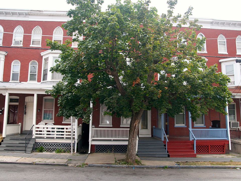 Front view, behind the tree.