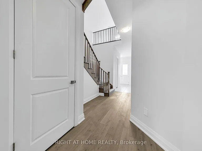 3 Speciosa St #UPPER — Photo 19