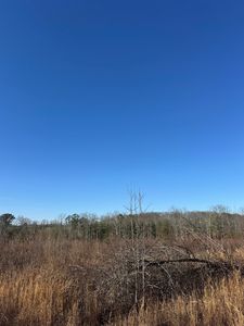 0 County Highway 32, Hackleburg, AL, 35564