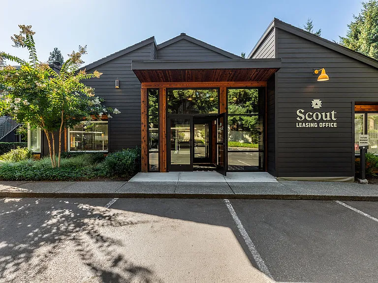 Scout — Photo 24