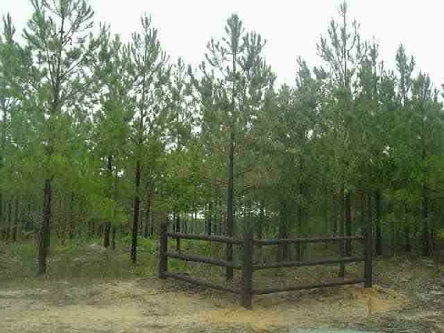 2nd image of Lot 5 Horizon Trail