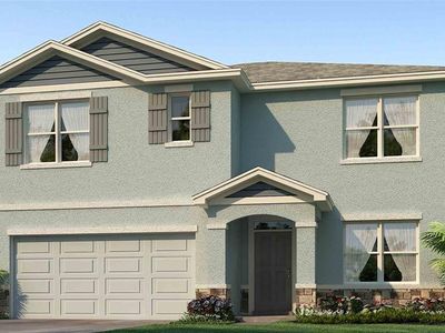 7272 Broad River Ave, Land O Lakes, FL, 34638