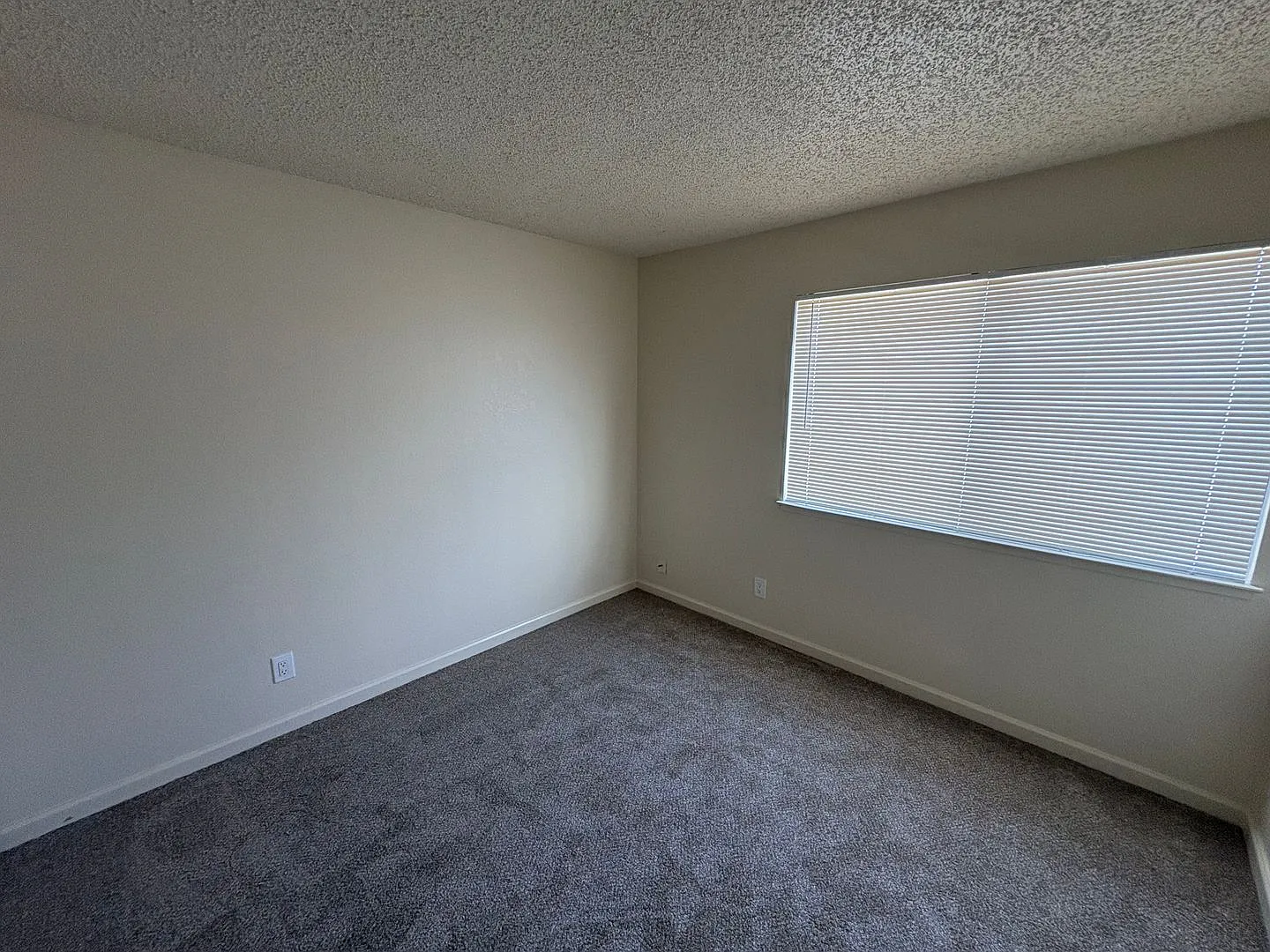Westside Duet — Photo 4