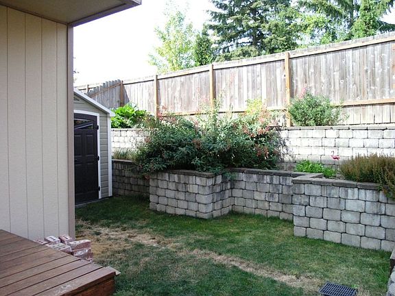 Back yard area