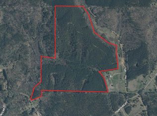 County Road 393, Burnsville, MS 38833