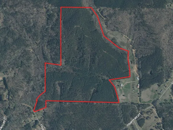 County Road 393, Burnsville, MS 38833