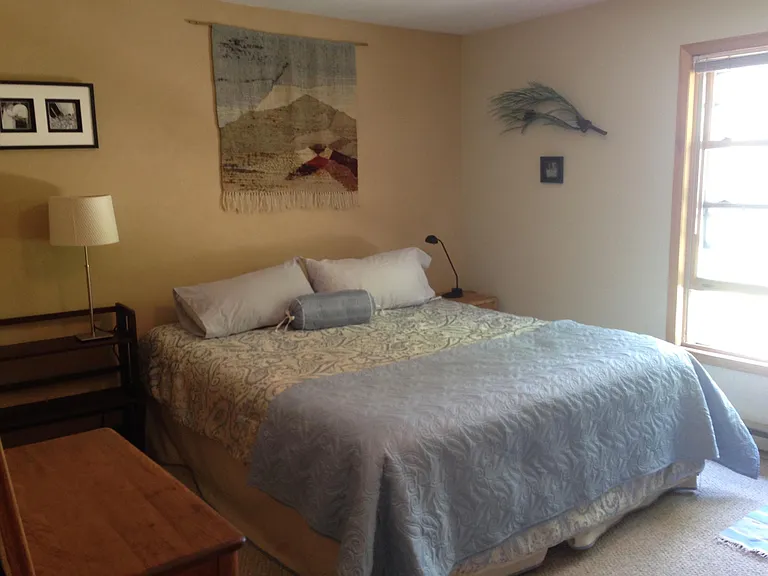 Master bedroom. Organic California King mattress, clay paint accent wall.