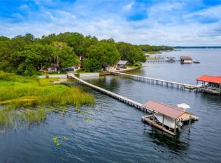 22652 NE 131st Ln, Salt Springs, FL 32134