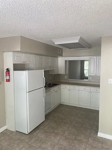 402 Blue Ridge Villa Dr #402 Photo 1