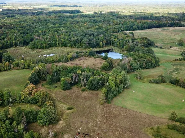 450th St, Leonard, MN 56652