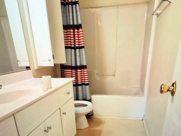 225 Sassafras Ln — Photo 5