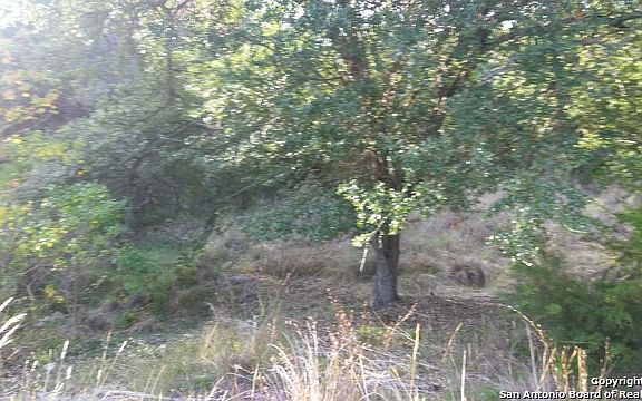 3rd image of 232 Woodridge