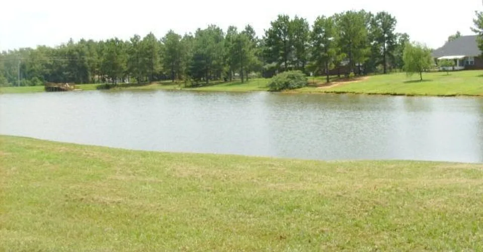 4 bed, 2.0 bath, 2004 sqft, $1,875 — Photo 2