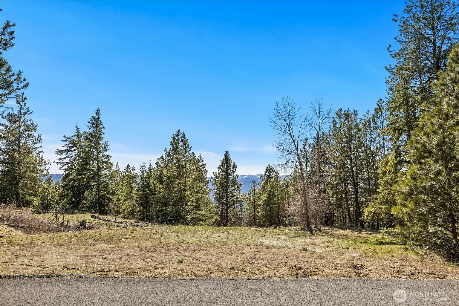 80 Forest Ridge (Lot 80) Drive photo 1