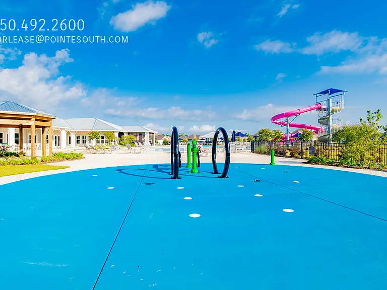 10988 Animal Kingdom Way — Photo 21