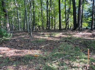 LOT 10 Cove Ln, Woodlawn, VA 24381