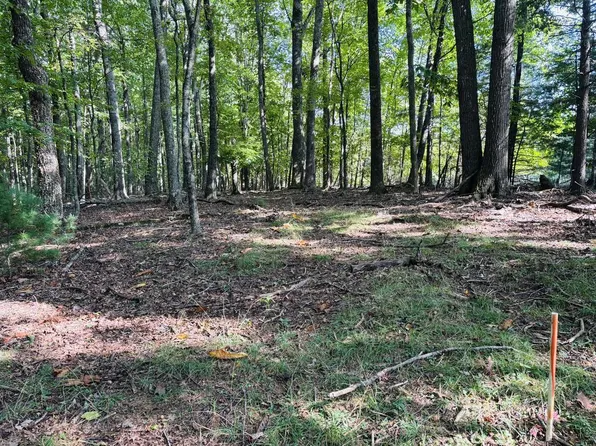 LOT 10 Cove Ln, Woodlawn, VA 24381