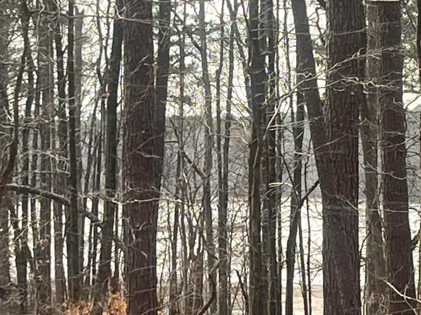 1249 Lakeshore Estates Drive, Lincolnton, GA 30817