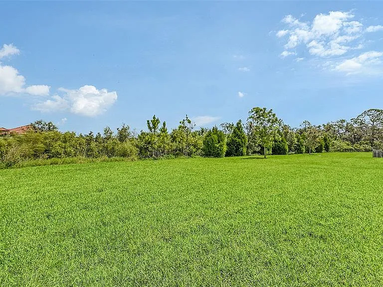 491 Daylily Blvd — Photo 38