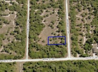 2026 Basinger Ave SW, Palm Bay, FL 32908