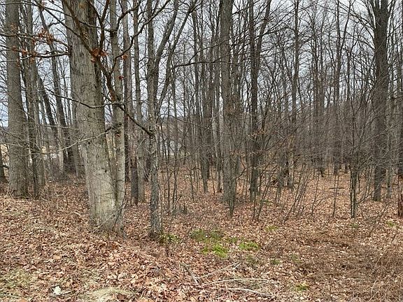 5th image of 1 Cherry Tree Ln
