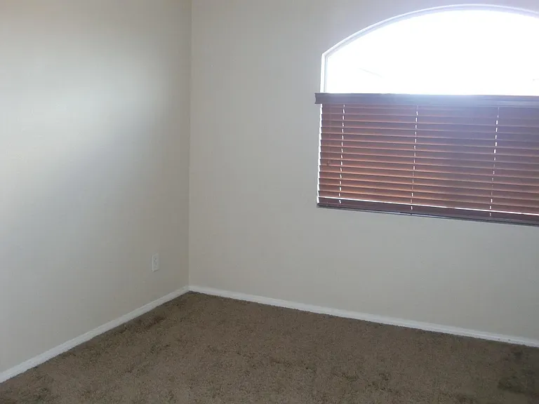 10611 Timber Stand St — Photo 9