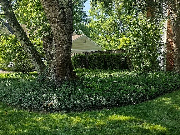 3rd image of 4528 Banff St