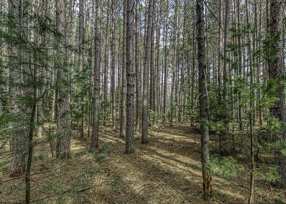 1st image of LOT 2 Curtis Lake Dr