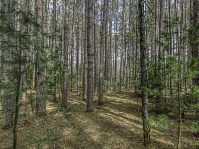 LOT 2 Curtis Lake Dr, Minocqua, WI, 54548