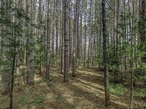 LOT 2 Curtis Lake Dr, Minocqua, WI 54548