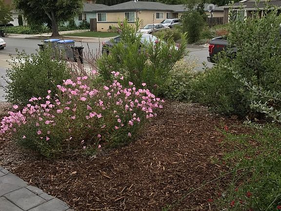 3rd image of 5302 Dent Ave
