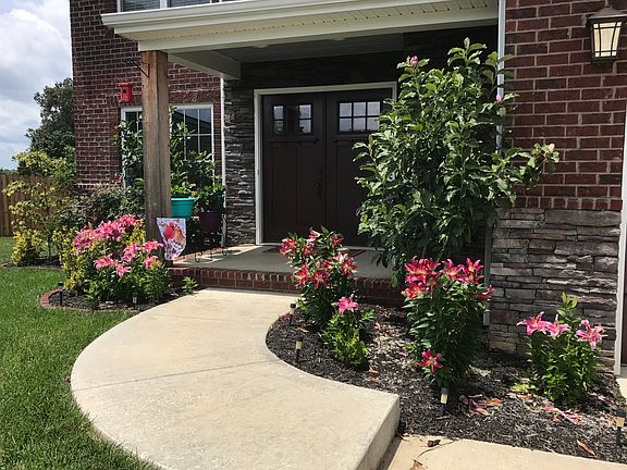 4th image of 1147 Chicory Way