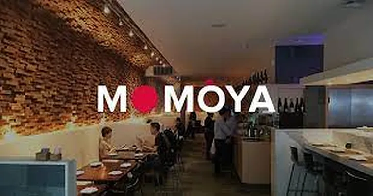 Rented by Douglas Elliman | media 19