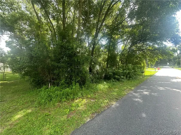 6585 E Waverly St, Inverness, FL 34452