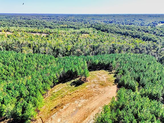 2nd image of 0 Warren Proctor Ln Lot 50