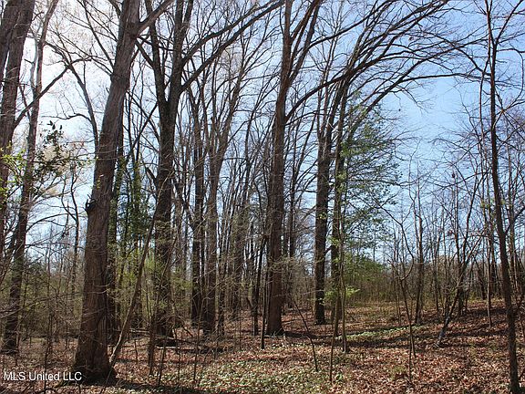 3rd image of 7 Barton Desoto Rd