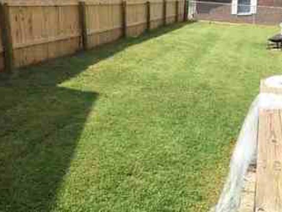 Half of the Backyard